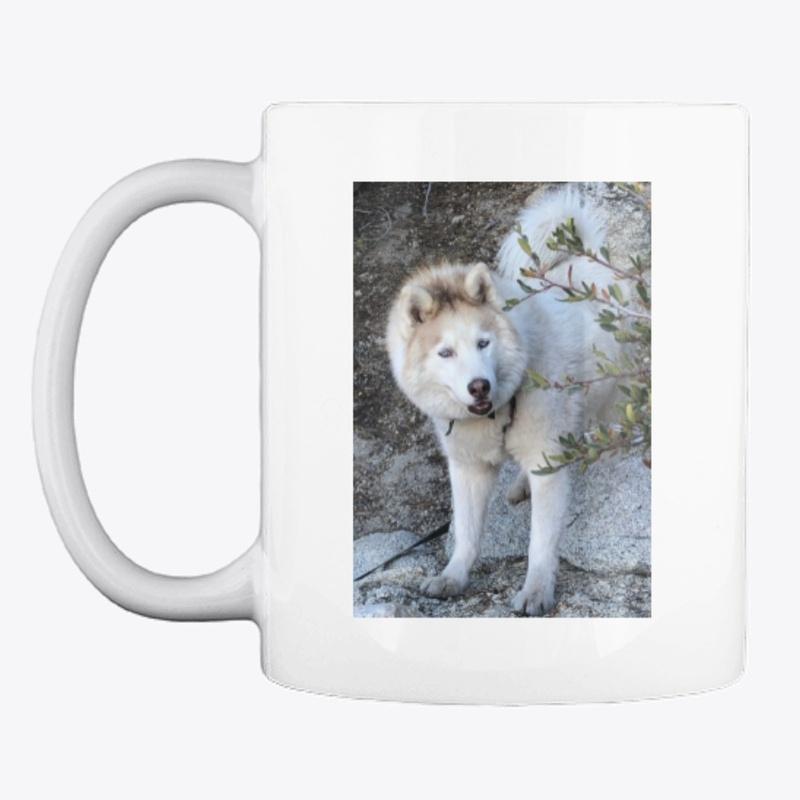 Forever an Athlete Husky Mug